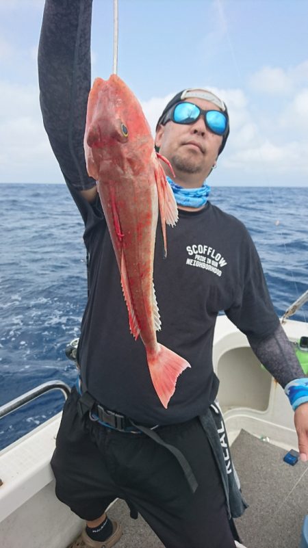 ARCADIAⅡ (アルカディアⅡ) 釣果