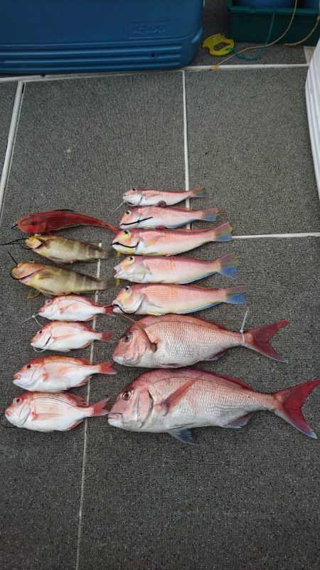 ARCADIAⅡ (アルカディアⅡ) 釣果