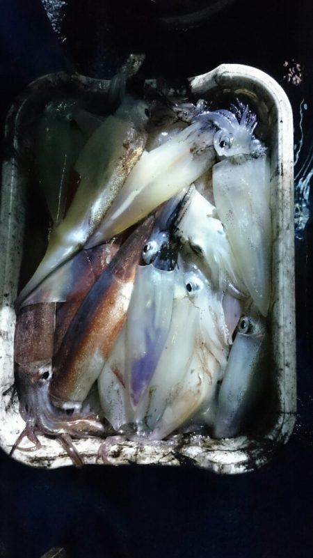 海龍丸(石川) 釣果