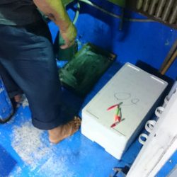 海龍丸(石川) 釣果