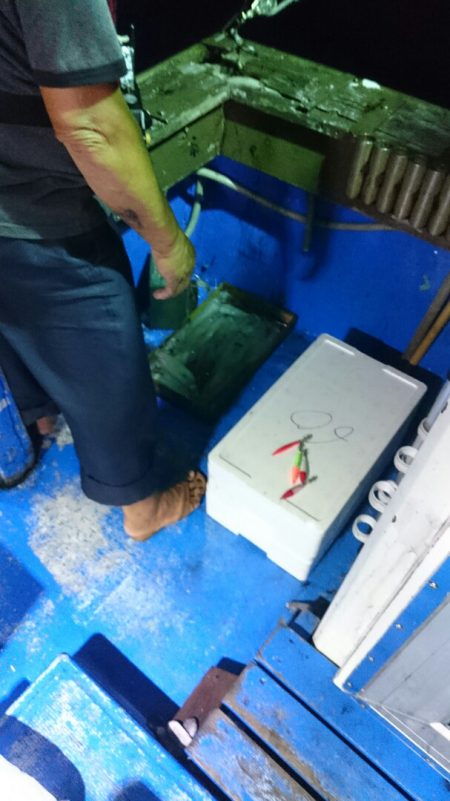 海龍丸(石川) 釣果