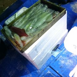 海龍丸(石川) 釣果