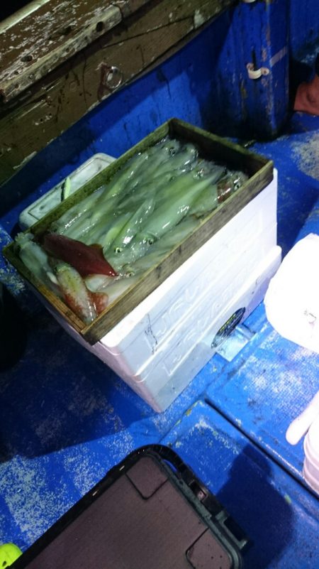 海龍丸(石川) 釣果