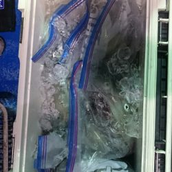 海龍丸(石川) 釣果