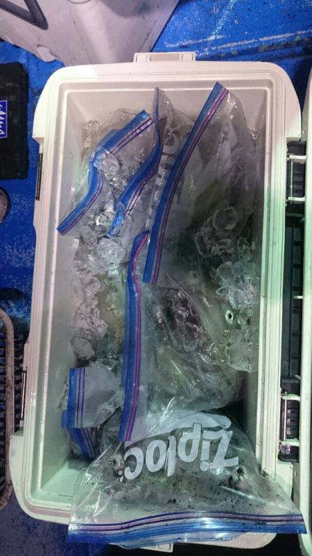 海龍丸(石川) 釣果