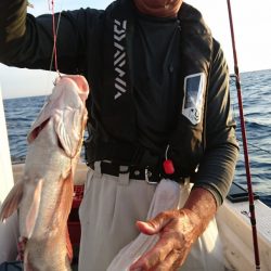 海皇丸 釣果