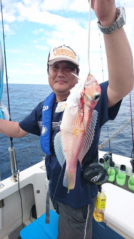 ARCADIAⅡ (アルカディアⅡ) 釣果