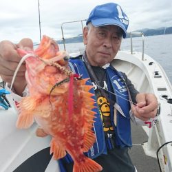 ARCADIAⅡ (アルカディアⅡ) 釣果