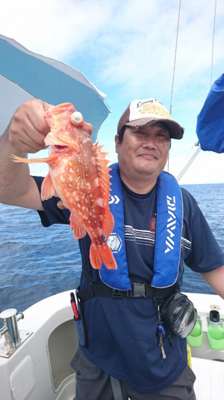 ARCADIAⅡ (アルカディアⅡ) 釣果