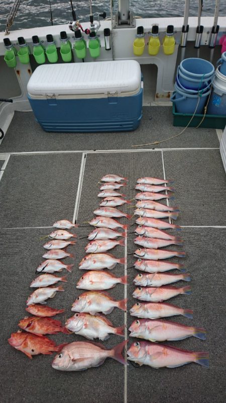 ARCADIAⅡ （アルカディアⅡ） 釣果…