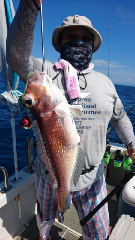 ARCADIAⅡ (アルカディアⅡ) 釣果