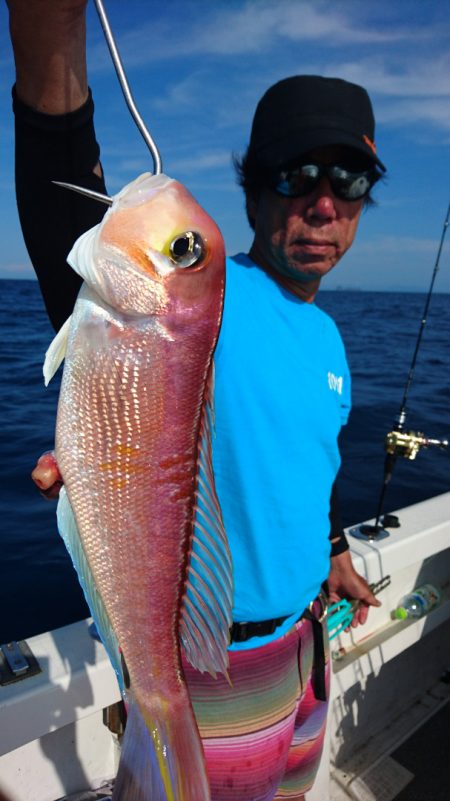 ARCADIAⅡ (アルカディアⅡ) 釣果