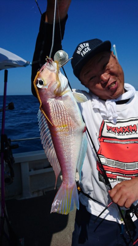 ARCADIAⅡ （アルカディアⅡ） 釣果…