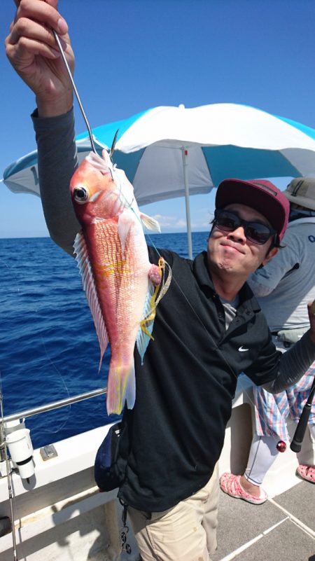 ARCADIAⅡ (アルカディアⅡ) 釣果