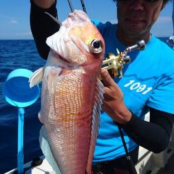 ARCADIAⅡ (アルカディアⅡ) 釣果