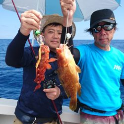 ARCADIAⅡ (アルカディアⅡ) 釣果