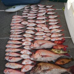 ARCADIAⅡ (アルカディアⅡ) 釣果