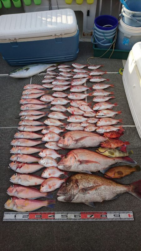 ARCADIAⅡ (アルカディアⅡ) 釣果