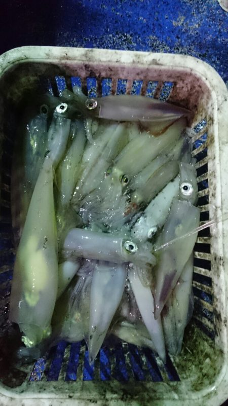 海龍丸（石川） 釣果