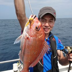 ARCADIAⅡ （アルカディアⅡ） 釣果