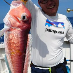 ARCADIAⅡ （アルカディアⅡ） 釣果