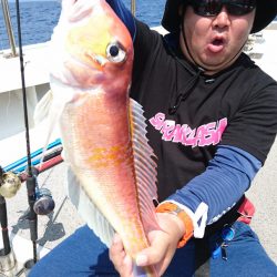 ARCADIAⅡ （アルカディアⅡ） 釣果