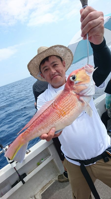 ARCADIAⅡ （アルカディアⅡ） 釣果