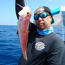 ARCADIAⅡ （アルカディアⅡ） 釣果