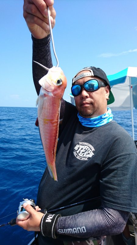 ARCADIAⅡ （アルカディアⅡ） 釣果