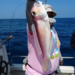 ARCADIAⅡ （アルカディアⅡ） 釣果