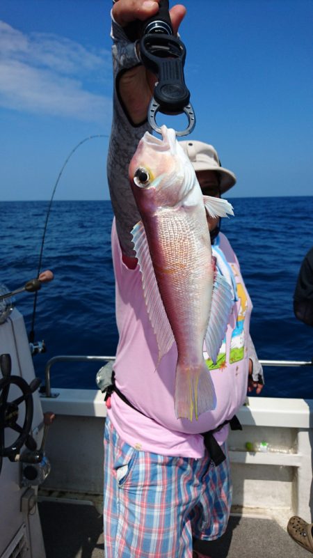 ARCADIAⅡ （アルカディアⅡ） 釣果