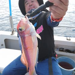 ARCADIAⅡ （アルカディアⅡ） 釣果