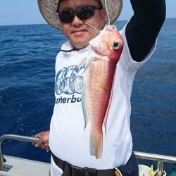 ARCADIAⅡ （アルカディアⅡ） 釣果