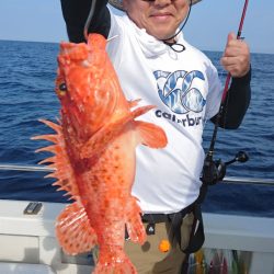 ARCADIAⅡ （アルカディアⅡ） 釣果