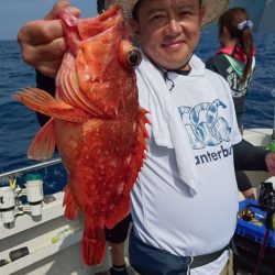 ARCADIAⅡ （アルカディアⅡ） 釣果