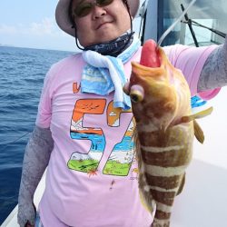 ARCADIAⅡ （アルカディアⅡ） 釣果