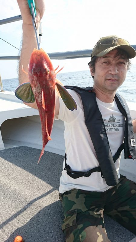 ARCADIAⅡ （アルカディアⅡ） 釣果