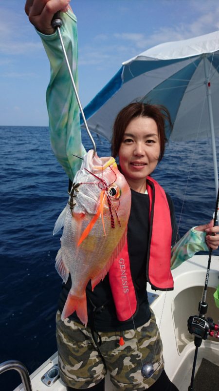 ARCADIAⅡ （アルカディアⅡ） 釣果