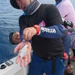 ARCADIAⅡ （アルカディアⅡ） 釣果