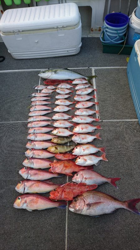 ARCADIAⅡ （アルカディアⅡ） 釣果