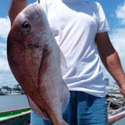 富士丸 釣果