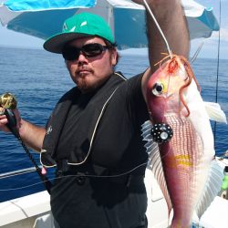 ARCADIAⅡ (アルカディアⅡ) 釣果