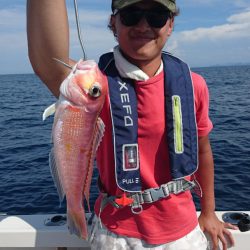 ARCADIAⅡ (アルカディアⅡ) 釣果