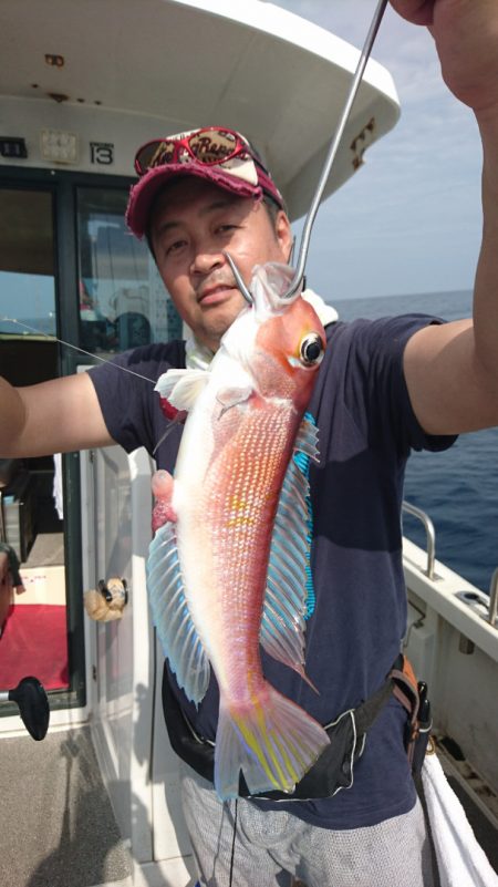 ARCADIAⅡ (アルカディアⅡ) 釣果