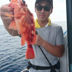 ARCADIAⅡ (アルカディアⅡ) 釣果