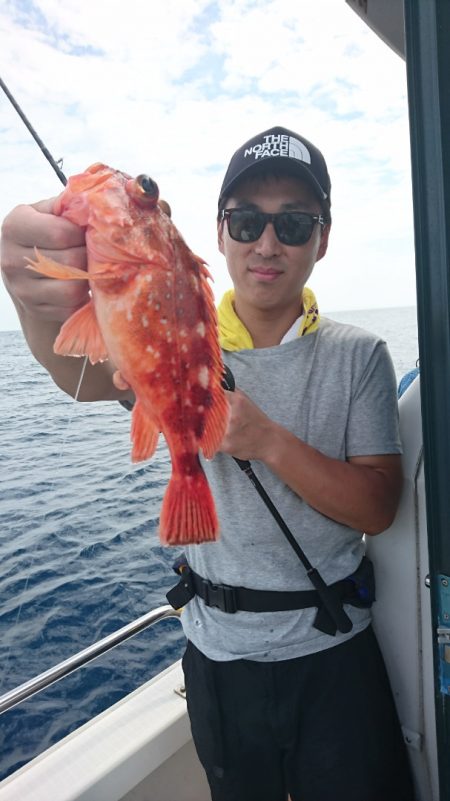 ARCADIAⅡ (アルカディアⅡ) 釣果