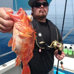 ARCADIAⅡ (アルカディアⅡ) 釣果