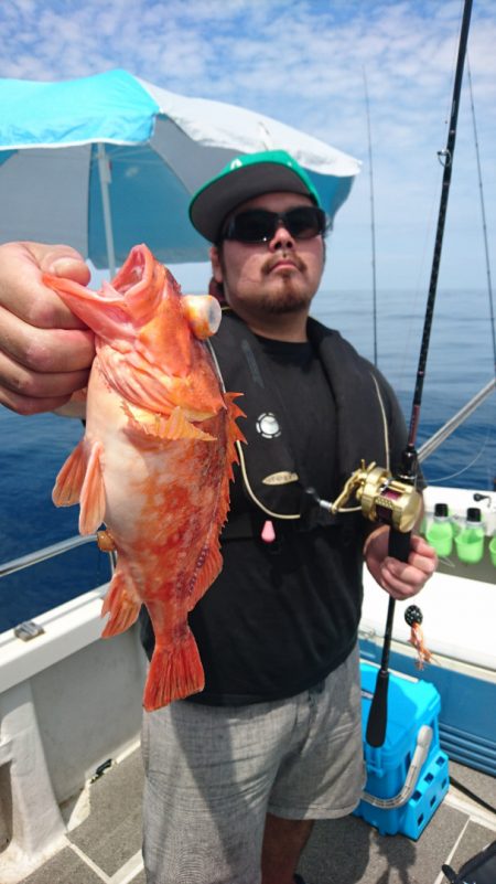 ARCADIAⅡ (アルカディアⅡ) 釣果