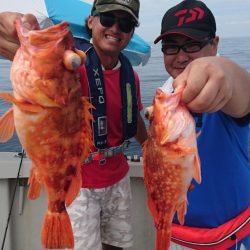 ARCADIAⅡ (アルカディアⅡ) 釣果