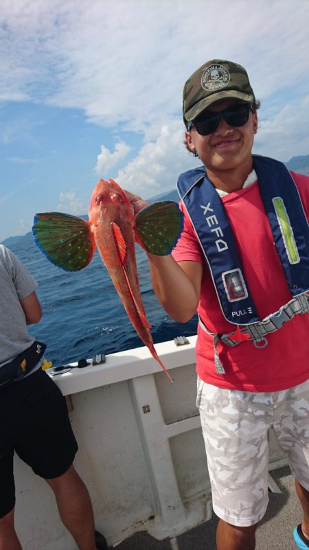 ARCADIAⅡ (アルカディアⅡ) 釣果